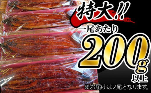 うなぎ蒲焼き 400g (200g×2尾) 土用の丑の日8月5日着 ／うなぎ 鰻 ウナギ 蒲焼 蒲焼き 土用 丑の日 特選 肉厚 たれ 国産 ふるさと 鰻丼 鰻重 うな重 うなぎたれ ギフト 贈り物 佐賀 佐賀県