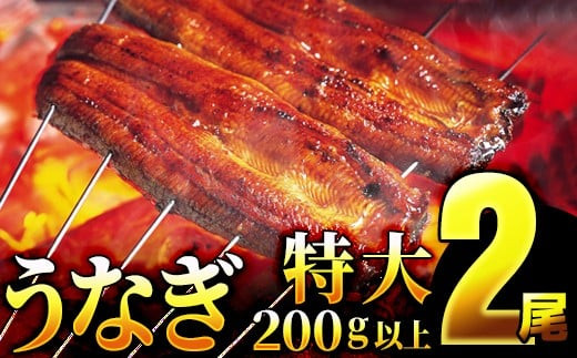 うなぎ蒲焼き 400g (200g×2尾) 土用の丑の日8月5日着 ／うなぎ 鰻 ウナギ 蒲焼 蒲焼き 土用 丑の日 特選 肉厚 たれ 国産 ふるさと 鰻丼 鰻重 うな重 うなぎたれ ギフト 贈り物 佐賀 佐賀県