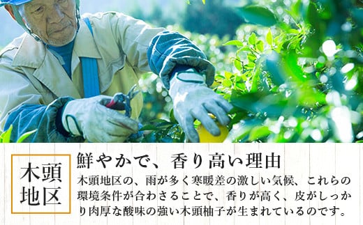 【10月末頃より随時発送】栽培期間中農薬・化学肥料不使用栽培の木頭柚子（黄玉）5kg 【徳島県 那賀町 木頭地区 徳島 那賀 木頭 木頭ゆず 木頭ユズ 木頭柚子 ゆず ユズ 柚子 果実 果物 柑橘 柑橘系 料理 ジャム 柚子風呂】OM-5