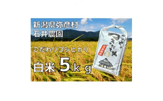 ＜新米＞新潟県弥彦村石井農園　令和6年産コシヒカリ＜白米 5kg＞【1508845】