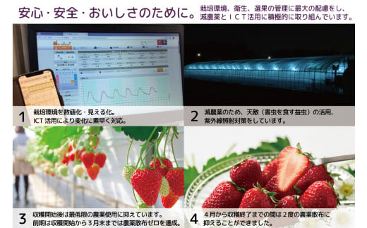 【数量限定】【先行予約】【2・3・4月発送】奈良県特産 高級ブランドいちご「古都華」の３ヶ月定期便