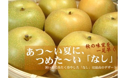 和歌山の梨（なし）幸水品種 [約4kg]【秀品：サイズおまかせ】和歌山県産 フルーツ 紀伊国屋文左衛門本舗※着日指定不可※2024年8月上旬～8月中旬頃に順次発送予定