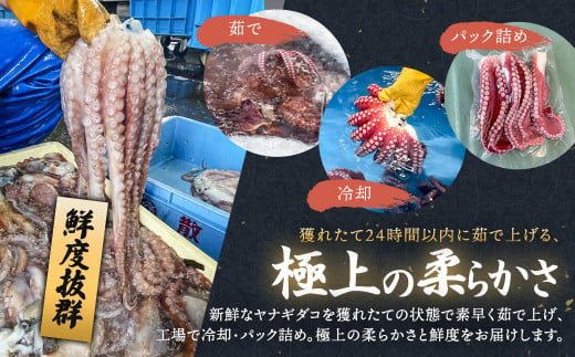 【定期便9ヶ月】ヤナギダコ500g【産地直送】プリプリ食感！釧路町昆布森産 ヤナギダコ｜噛むたびに広がる多幸の旨味 お刺身 鍋 煮物に最適 栄養満点 贈答用 にも最適 漁師直送 鮮度抜群 蛸 タコ たこ 足 刺身 たこやき たこ唐揚げ 冷凍 北海道 釧路町 釧路超 特産品