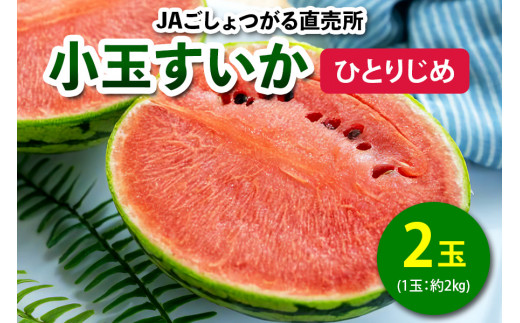 小玉すいか (ひとりじめ) 2玉入｜2024年産 令和6年 小玉 スイカ すいか 西瓜 果物 フルーツ 旬 産直 特産品 数量限定 [0642]