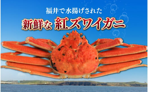 福井県産 越前 紅ズワイガニとコッペガニの蟹づくしセット【急速冷凍】（プロトン凍結）