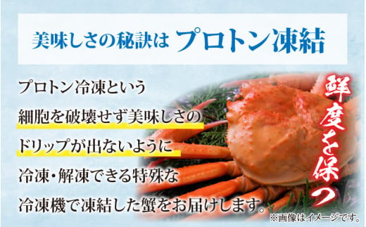 福井県産 越前 紅ズワイガニとコッペガニの蟹づくしセット【急速冷凍】（プロトン凍結）