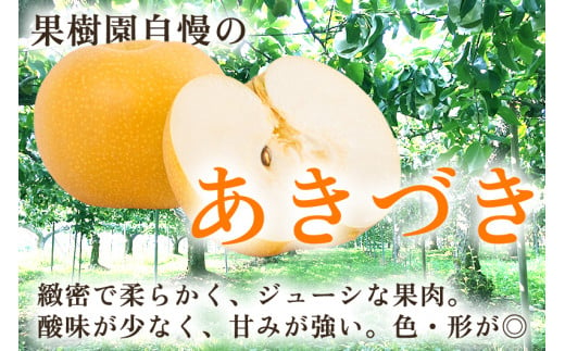 【2025年先行予約】新潟県産 厳選 和梨  あきづき 5kg（8～12玉）《9月上旬以降発送》果物 フルーツ  加茂市 いたみ果樹園       