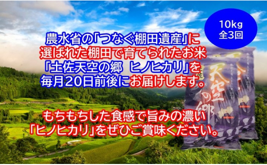 農林水産省の「つなぐ棚田遺産」に選ばれた棚田で育てられた 棚田米土佐天空の郷 ヒノヒカリ 10kg定期便　毎月お届け全3回