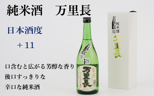 TheSAGA認定酒 純米酒おまかせ3本 定期便12回 【佐賀県産 佐賀認定酒 こだわり ギフト 贈答 プレゼント】(H072158)