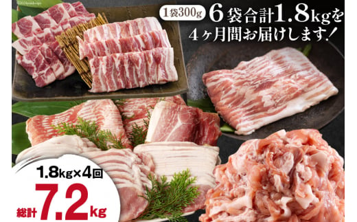 4回 定期便 宮崎県産 豚肉 こま 焼肉 肩ロース バラスライス しゃぶしゃぶ もも ロース セット 小分け 数量限定 合計7.2kg 毎月1.8kgお届け [甲斐精肉店 宮崎県 美郷町 31as0068-1gatsu] 冷凍 真空包装 収納 スペース 便利 小間切れ 送料無料 炒め 豚丼 豚汁