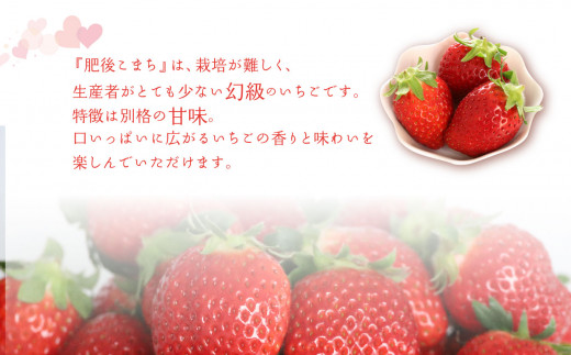 【 いちご定期便 】 ご家庭用 肥後こまち 紅あやね 各250g×2パック　| 果物 くだもの フルーツ いちご 苺 イチゴ 紅あやね 肥後あやね 家庭用 希少品種 定期便 熊本県 玉名市