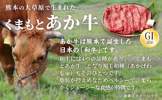 【毎月お届け】熊本県産　和牛　くまもとあか牛(GI)　焼肉用　500g【定期便6ヶ月コース】 - 肉 お肉 牛肉 くまもとあか牛 和牛 焼肉 冷凍 定期便 国産 九州産 熊本県産 熊本県 甲佐町