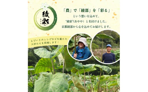 【先行予約】 冬の京野菜 えびいも 「こえびちゃん」 1kg 【 産地直送 農家直送 国産 旬 季節の野菜 詰め合わせ 京野菜 海老芋 里芋 野菜 冬野菜 贈答 贈り物 ギフト お土産 手土産 京都 綾部 】