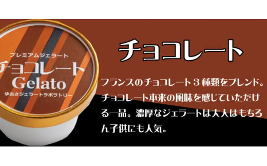 プレミアムジェラート チョコレート12個セット アイスクリームセット 100mlカップ ゆあさジェラートラボラトリー【ntbt700-03】