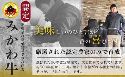 【みかわ牛】和牛すきやき切落し600ｇ