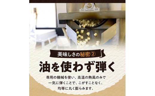 外はカリカリ！中はふんわり！リッチポップコーン　２種セット（小豆島醤油＆瀬戸内塩キャラメル）