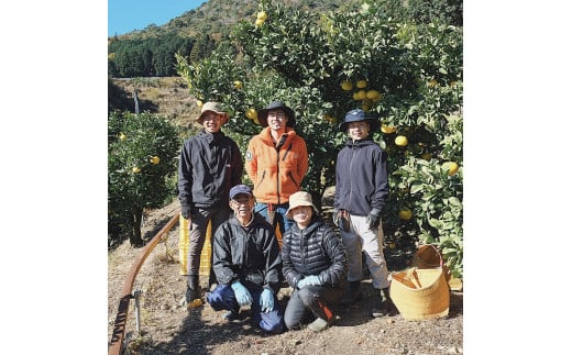 ☆至高の柑橘　高知産 土佐文旦☆ ２L 21玉入【家庭用】