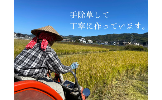 今年も無事収穫出来ました。