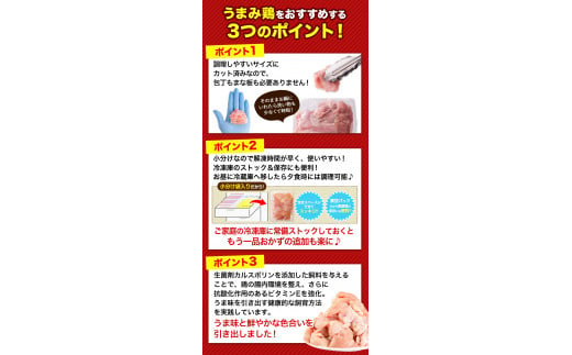 【12ヶ月定期便】 鶏肉 うまみ鶏 もも+むねハーフセット(計2種類) 計3.41kg 若鶏 冷凍 小分け《お申込み月の翌月より出荷開始》