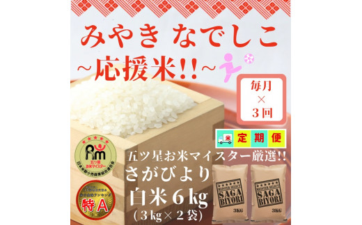 CI761【みやきなでしこ】応援米【３回定期便】さがびより白米６kg（３kg×２袋）佐賀県産 精米 女子サッカー応援