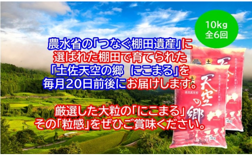 2010年・2016年 お米日本一コンテスト inしずおか 特別最高金賞受賞 棚田米 土佐天空の郷 にこまる 10kg 定期便 毎月お届け 全6回