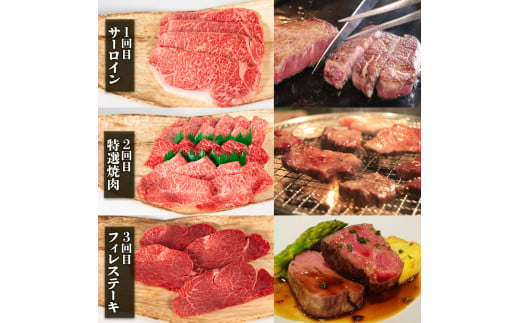 定期便 6ヶ月 近江牛 計4080g 冷凍 黒毛和牛 ( 定期便 全6回 肉 サーロイン 特選 焼肉 フィレ ランプ ブランド 近江牛 三大和牛 贈り物 ギフト プレゼント  滋賀県 竜王 岡喜 神戸牛 松阪牛 に並ぶ 日本三大和牛 ふるさと納税 )