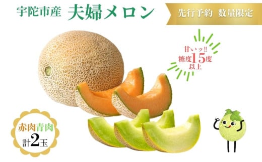 ディーバメロン【倉吉産】 約2.7kg （10月発送） 鳥取 果物