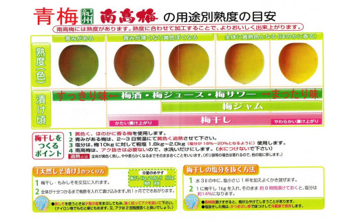 【梅干・梅酒用】（2LまたはL－10Kg）熟南高梅＜2025年6月上旬～7月7日発送予定＞フルーツ 果物 くだもの 食品 人気 おすすめ 送料無料【ART03】