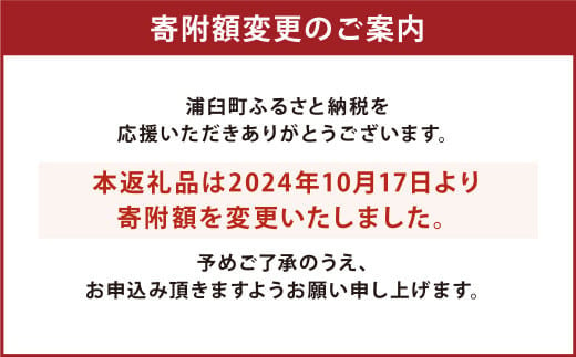 〈令和6年産〉浦臼産 ななつぼし 精白米 10kg （5kg×2袋） 