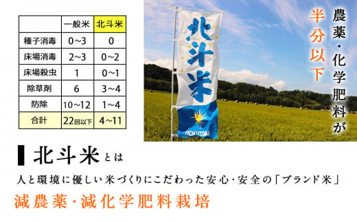 【新米発送】北斗米ななつぼし5kg 柳沼 やぎぬま 東神楽 北海道