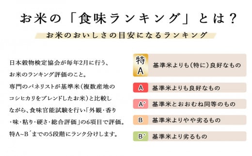 【新米発送】北斗米ななつぼし5kg 柳沼 やぎぬま 東神楽 北海道