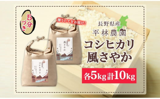 令和6年産 コシヒカリ 風さやか 5分づき米 各5kg 長野県産 米 お米 ごはん ライス 分つき米 農家直送 産直 信州 人気 ギフト お取り寄せ 平林農園 送料無料 長野県 大町市