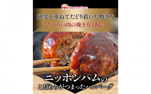 【定期便】肉汁あふれるデミグラスハンバーグ6個入　3ヶ月定期便 日本ハム 冷凍 個食 使い切り 湯煎 牛肉 豚肉