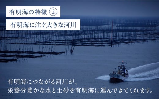 【6回定期便】佐賀海苔3種食べ比べ（味のり/焼のり/塩のり）ボトル3本セット（各10切56枚）株式会社サン海苔/吉野ヶ里町 [FBC043]