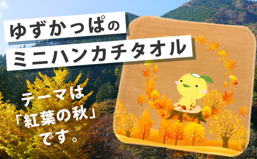 ゆずがっぱ ミニハンカチタオル（秋）1枚【徳島県 那賀町 ゆずがっぱ かっぱ カッパ 河童 グッズ かわいい 可愛い ミニハンカチ ミニ ハンカチ ハンカチタオル タオル ハンドタオル タオルハンカチ ギフト プレゼント ご当地キャラ】OM-113