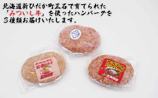 北海道産 黒毛和牛 みついし牛 ハンバーグ 3種 計 900g ( 100g × 各 3個 ) セット 和牛 ホエー豚 三石牛 ハンバーグステーキ 惣菜 食べ比べ