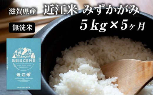 【定期便】令和6年産新米 5kg×5ヶ月 近江米 みずかがみ 無洗米 滋賀県豊郷町産 お米 こめ コメ 米 おこめ 白米 5回 お楽しみ