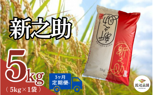 【令和6年産新米】〈3回定期便〉渡辺農園の新之助5kg (5kg×1袋) 新潟県 五泉市 渡辺農園 [10月中旬以降順次発送]