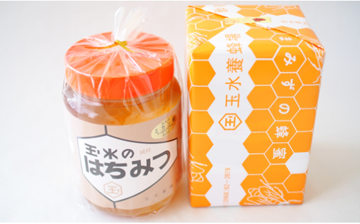 中山大吉商店の 熊本県産 はちみつ 2kg  ( 1kg 瓶 × 2個 ) | 調味料 加工品 ハチミツ 蜂蜜 シロップ 純国産 熊本県 玉名市