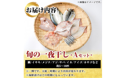 数量限定！阿久根市産の旬の一夜干しグルメ＜A＞セット(鯛・アジ・イカ・サバなど)国産 鮮魚 詰め合わせ お楽しみ 海の幸 魚介類 干物 海鮮【さるがく水産】a-12-205-z