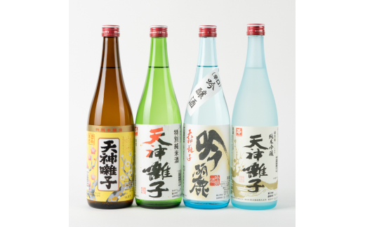 十日町の地酒　天神囃子4本セット（720ml×4）