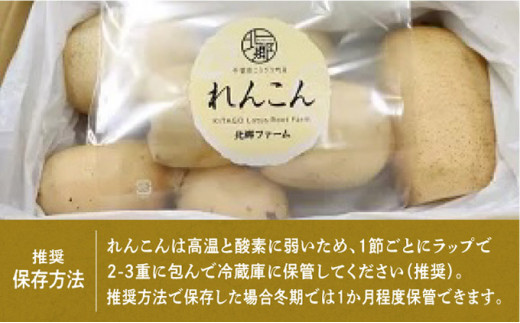 千葉県れんこん部門注文数最上位達成！【訳あり】無選別　神崎町ふるさと れんこん（4kg）[013-a002]