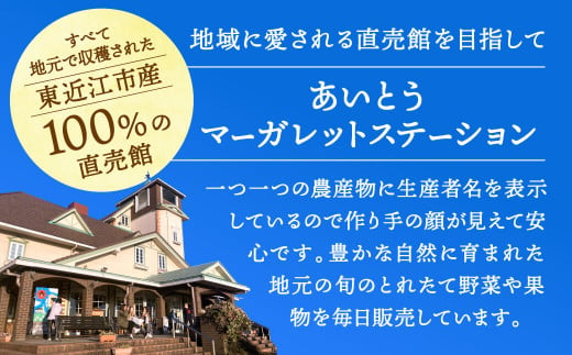 梨 あいとう梨 なし 幸水 豊水 先行 果物 くだもの フルーツ ナシ 梨 先行予約 送料無料 旬 果物 お取り寄せ 梨 なし 梨 A-D25 あいとうマーガレットステーション 東近江