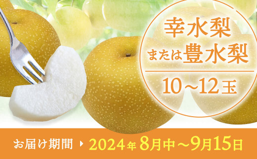 梨 あいとう梨 なし 幸水 豊水 先行 果物 くだもの フルーツ ナシ 梨 先行予約 送料無料 旬 果物 お取り寄せ 梨 なし 梨 A-D25 あいとうマーガレットステーション 東近江