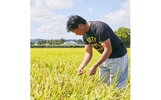 ＜毎月定期便＞山形県産　つや姫　精米　5kg全12回【4059360】