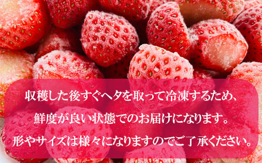 ＜山科農園の冷凍すずあかね　1kg＞甘酸っぱさが魅力の冷凍いちご