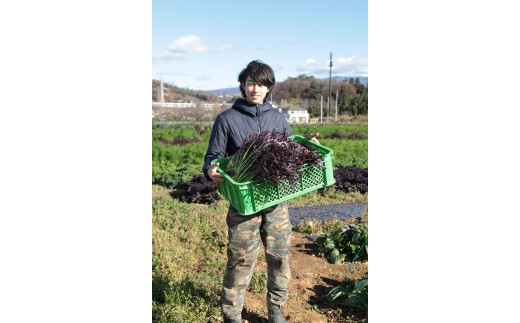 D-04　採れたて！良農園のおいしい野菜の定期便【年６回：偶数月配送】