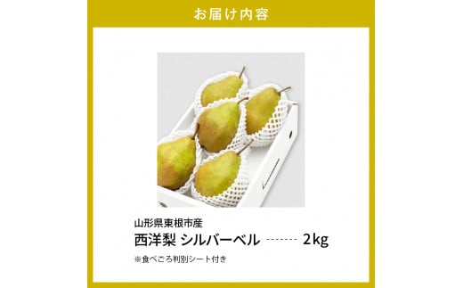 【令和6年産 先行予約】西洋梨シルバーベル2kg　秀品　化粧箱入り 山形県 東根市 東根農産センター提供 hi027-147