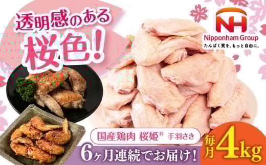 手羽先様 ニッチフーズ 手羽先の餃子風 550g( 10本入り / ぎょうざ