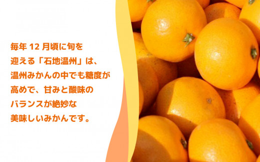 和田果樹園の石地温州 5kg 温州みかん ミカン オレンジ 柑橘類 果物 フルーツ 大分県産 九州産 津久見市 国産